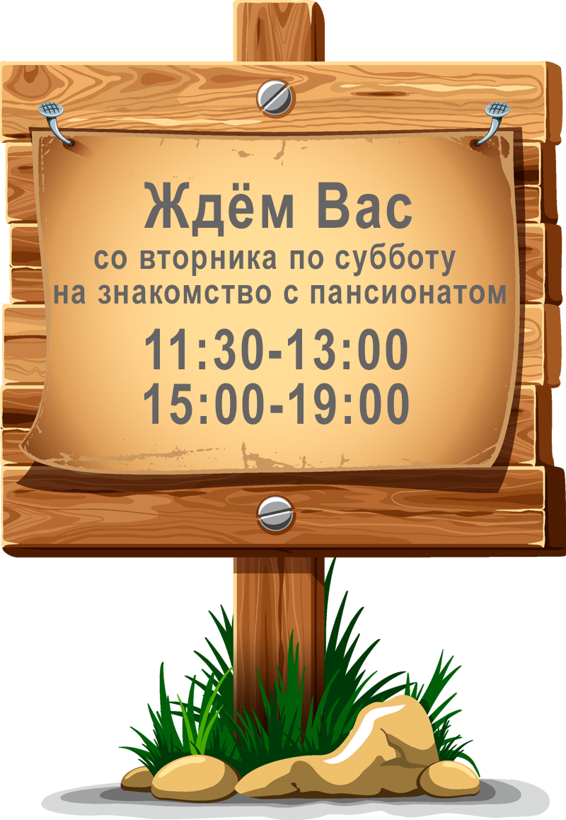 Пансионат для пожилых людей в Мурманске и Мурманской области - лучший дом  для престарелых «Золотой Век»